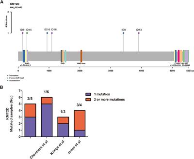 Genomic Analyses of Metaplastic or Sarcomatoid Carcinomas From Different Organs Revealed Frequent Mutations in KMT2D